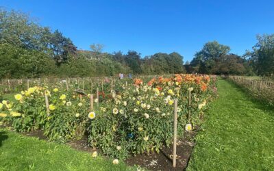 Visite du jardin des plantes